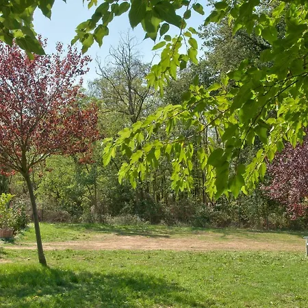 Bed & Breakfast Casal Di Peppe
